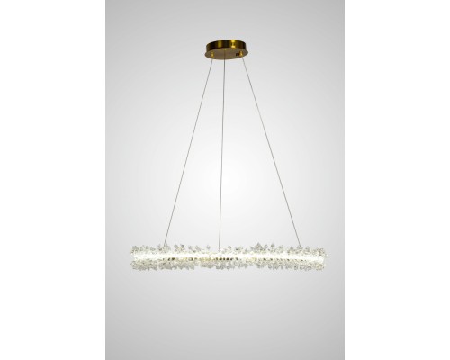 Подвесной светильник  AM455 L800 POLISHED GOLD AM Group