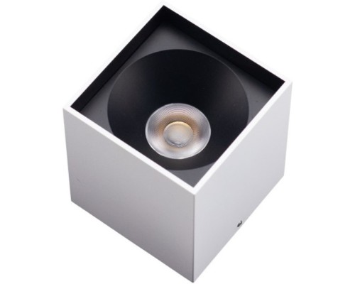 Точечный светильник  AM482 BK+WH 10W AM Group