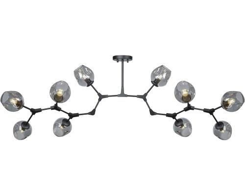 Потолочная люстра LOFT LOFT-10 BK AM Group