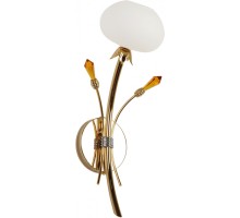 Бра  6498-А1.11 Abrasax