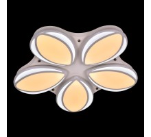 Потолочный светильник 1012 Adilux