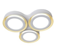 Потолочный светильник 1017 Adilux