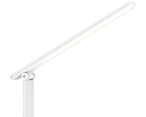 Офисная настольная лампа DESK DE536 Ambrella