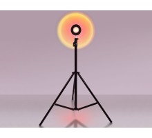 Интерьерная настольная лампа DESK DE8387 Ambrella