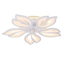 Потолочная люстра ACRYLICA FA543 Ambrella