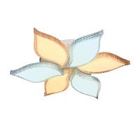 Потолочная люстра ELEGANCE FK212/6 Ambrella