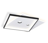 Потолочный светильник COMFORT FL5065 Ambrella