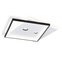 Потолочный светильник COMFORT FL5065 Ambrella