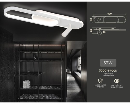 Настенно-потолочный светильник COMFORT FL5108 Ambrella