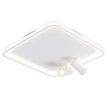 Потолочный светильник Comfort FL5114 Ambrella