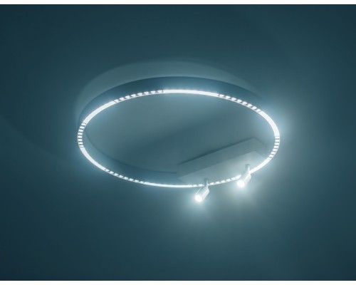 Потолочный светильник COMFORT FL5807 Ambrella