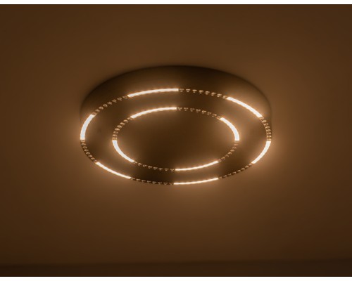 Потолочный светильник COMFORT FL5822 Ambrella