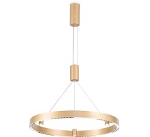 Подвесной светильник COMFORT FL5846 Ambrella