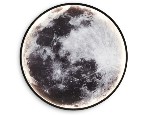 Настенно-потолочный светильник Wallers Wall FW11110 Ambrella