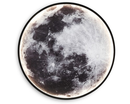 Настенно-потолочный светильник Wallers Wall FW11111 Ambrella