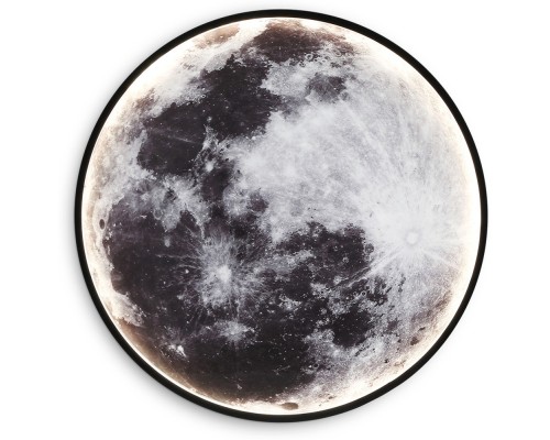 Настенно-потолочный светильник Wallers Wall FW11112 Ambrella