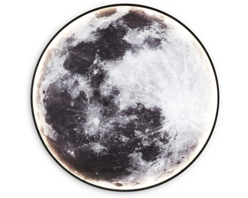 Настенно-потолочный светильник Wallers Wall FW11113 Ambrella