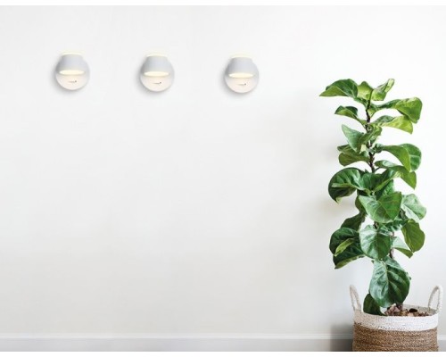 Настенный светильник Individual FW166 Ambrella