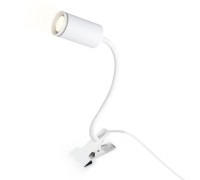 Офисная настольная лампа WALLERS FW2467 Ambrella