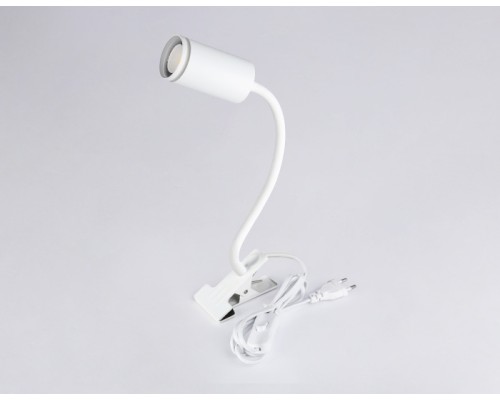 Офисная настольная лампа WALLERS FW2467 Ambrella