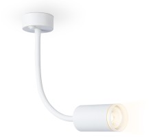 Настенно-потолочный светильник WALLERS FW2469 Ambrella