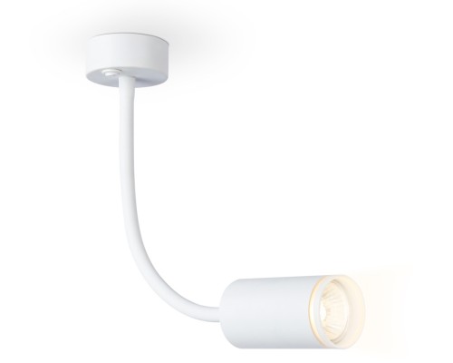 Настенно-потолочный светильник WALLERS FW2469 Ambrella