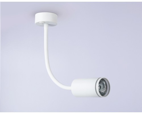 Настенно-потолочный светильник WALLERS FW2469 Ambrella