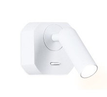 Спот FW FW282 Ambrella