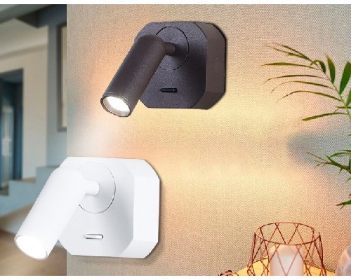 Спот FW FW282 Ambrella