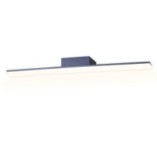 Светильник настенный FW FW424 Ambrella