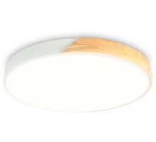 Потолочный светильник ORBITAL FZ1301 Ambrella