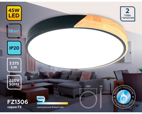 Потолочный светильник ORBITAL FZ1306 Ambrella