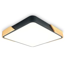 Потолочный светильник ORBITAL FZ1316 Ambrella