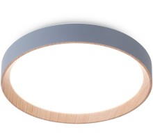 Потолочный светильник Orbital FZ1320 Ambrella