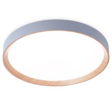 Потолочный светильник Orbital FZ1322 Ambrella