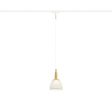 Трековый светильник Track System GV1652 Ambrella