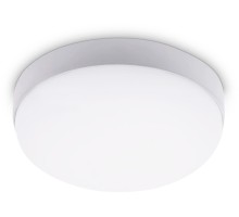 Потолочный светильник STREET ST8624 Ambrella