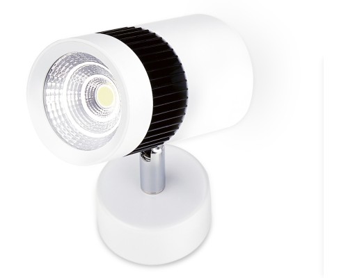 Спот TECHNO SPOT TN101/10W Ambrella