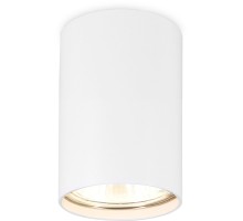 Точечный светильник TECHNO SPOT TN213101 Ambrella