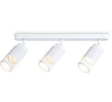 Спот TECHNO SPOT TN51688 Ambrella