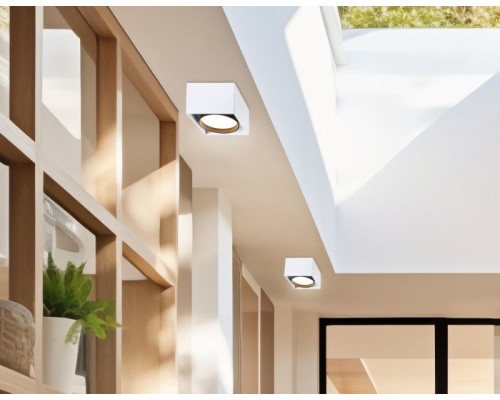 Точечный светильник Techno Spot TN70865 Ambrella