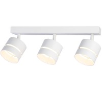 Спот TECHNO SPOT TN71062 Ambrella