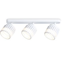 Спот TECHNO SPOT TN71166 Ambrella