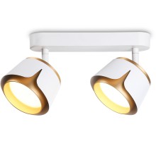 Спот TECHNO SPOT TN71229 Ambrella