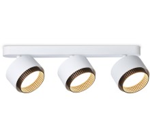 Спот Techno Spot TN71291 Ambrella