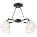 Потолочная люстра TRADITIONAL TR303293 Ambrella