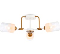 Потолочная люстра TRADITIONAL TR303321 Ambrella