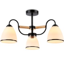 Потолочная люстра TRADITIONAL TR3033241 Ambrella