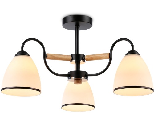 Потолочная люстра TRADITIONAL TR3033241 Ambrella