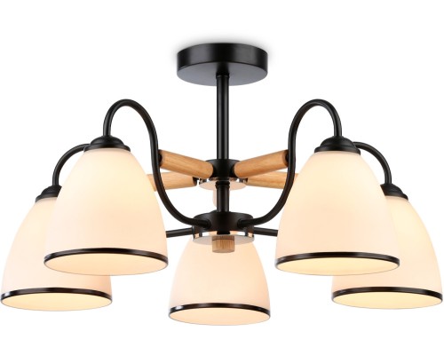 Потолочная люстра TRADITIONAL TR3033245 Ambrella